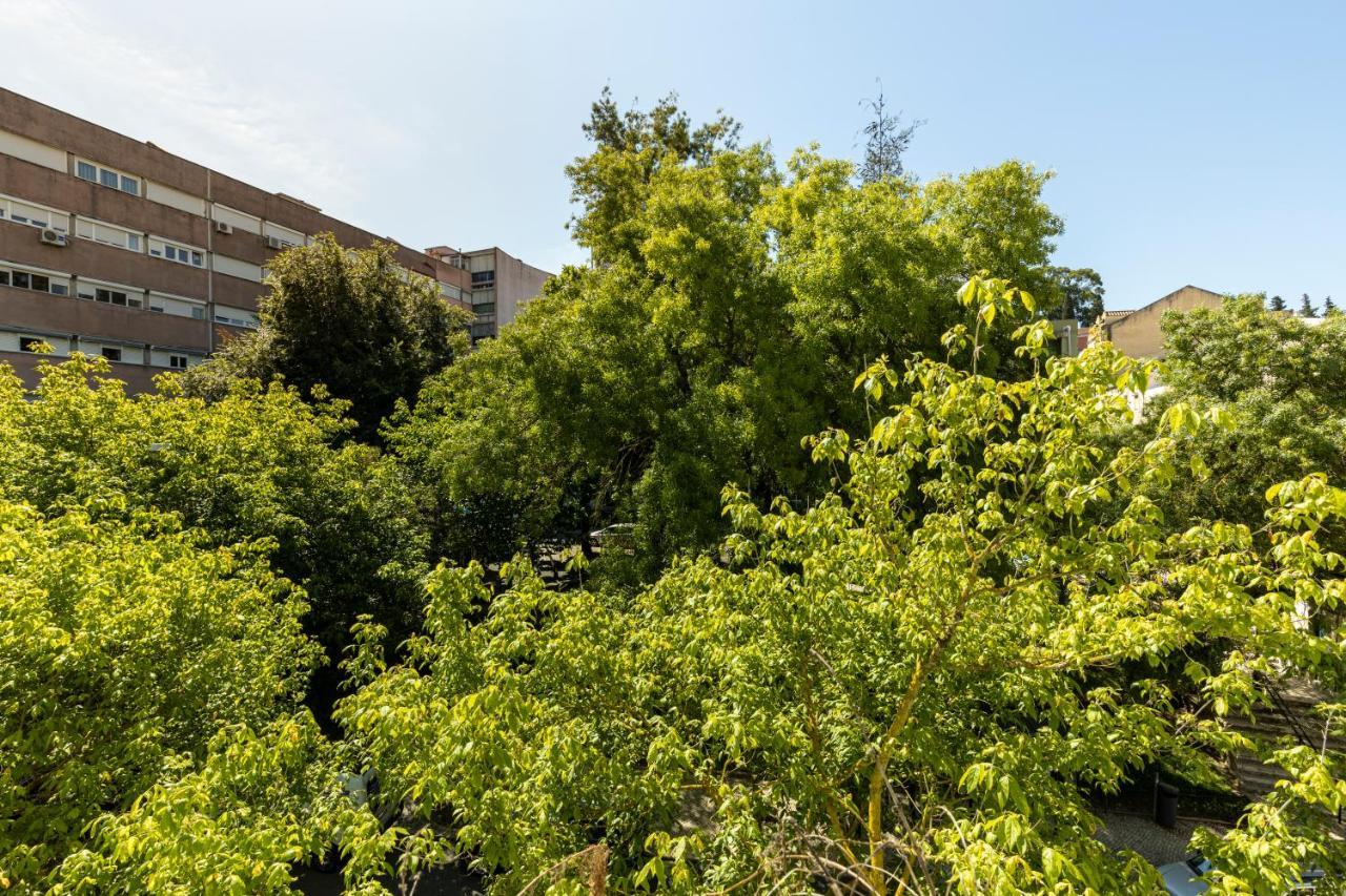 Comfy 3 Bedroom Campo De Ourique Apartament